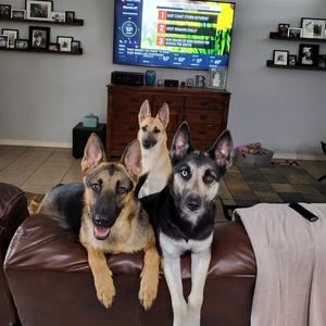 Meet your Posher, Tonya